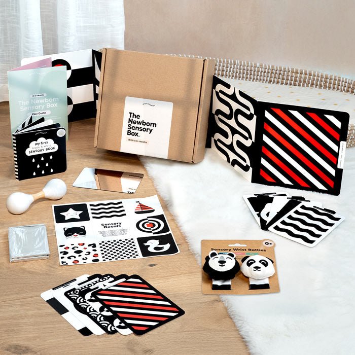 Newborn Baby Sensory Box - Sensory Toys for Newborns