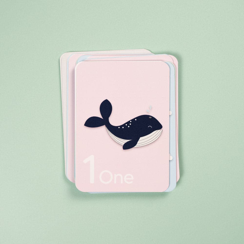 Number Flash Cards