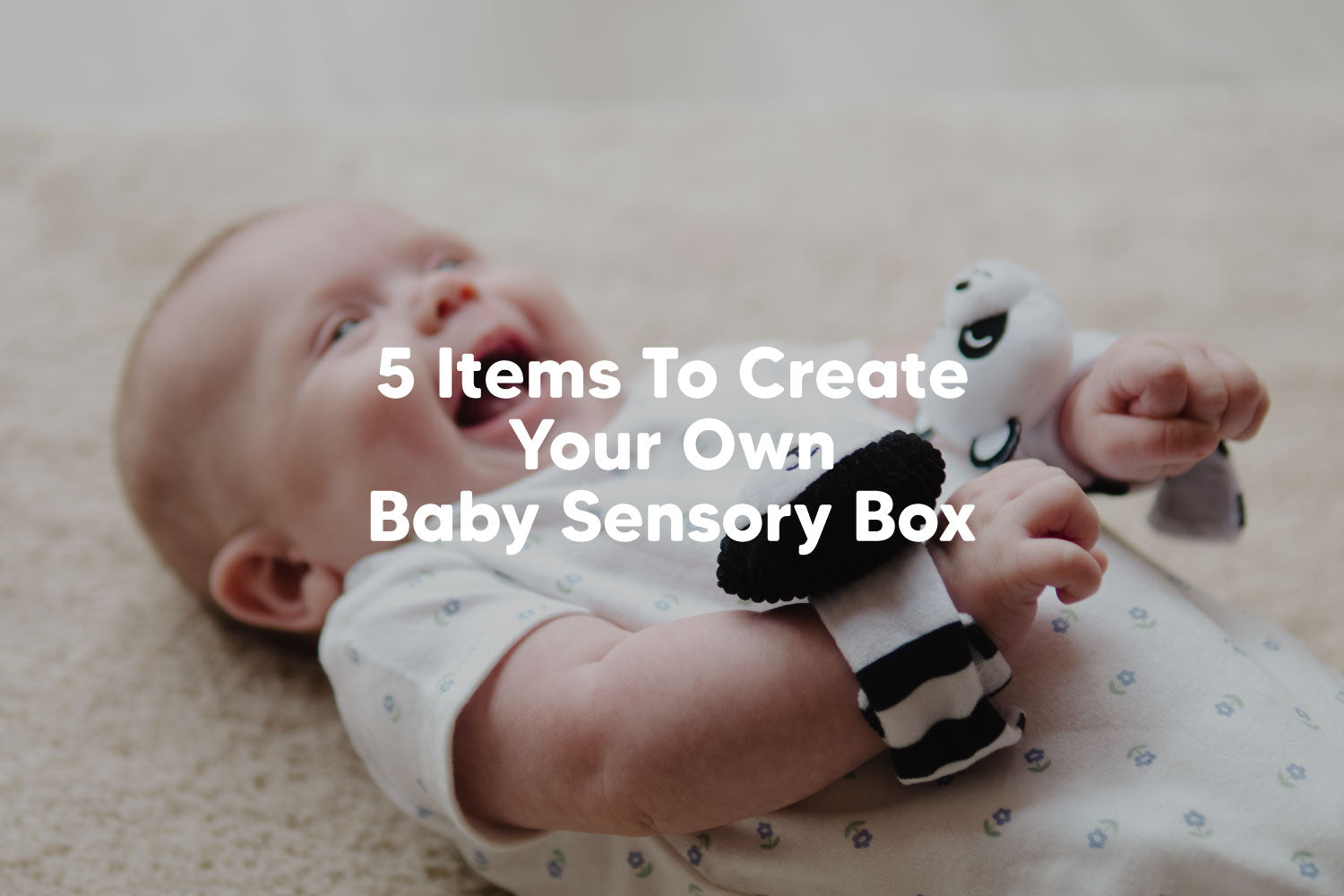 Create Your Own Newborn Baby Sensory Box