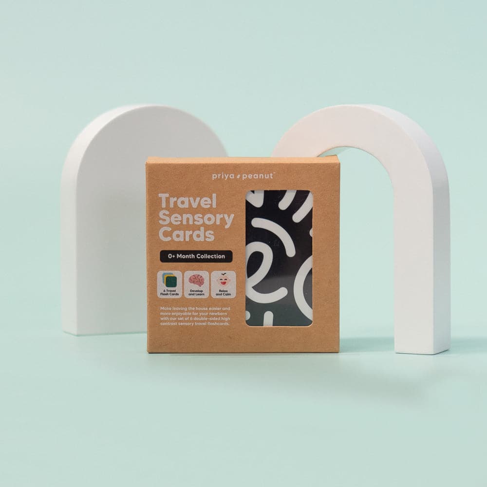 0+ Month Sensory Card Pram Toy