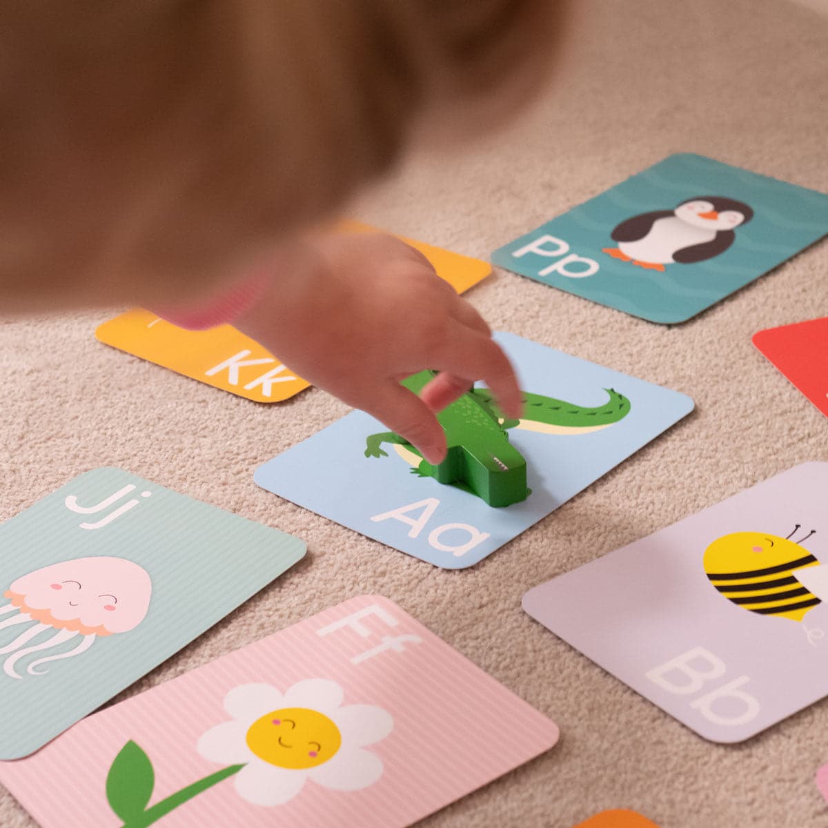 Collezione Alphabet Flashcard (6+ mesi)