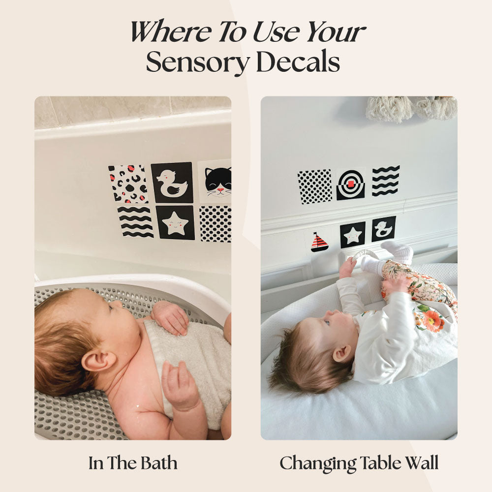 0+ Month Sensory Decals