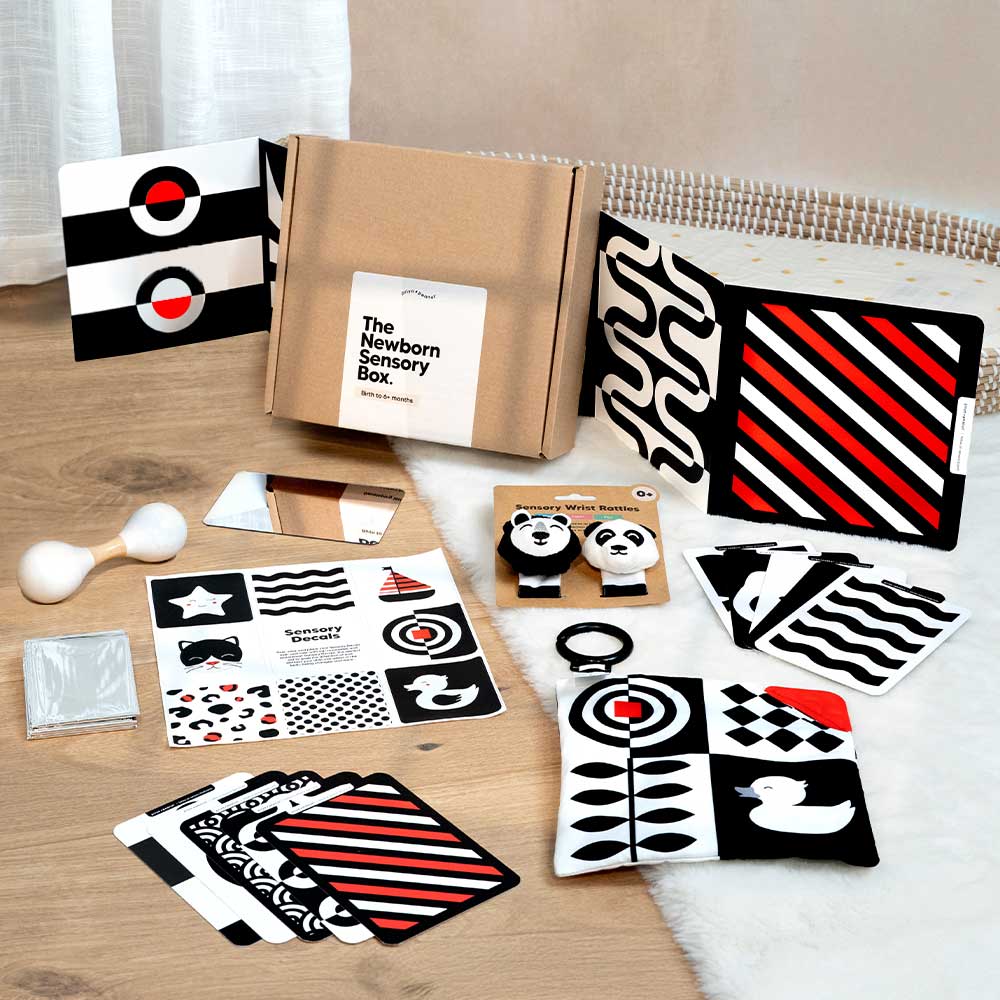 The Newborn Sensory Box (0-6+ Months) - The Perfect Sensory Toys For ...