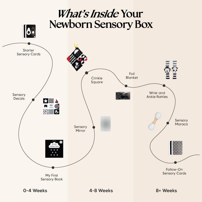 The Newborn Sensory Box (0-6+ Months)