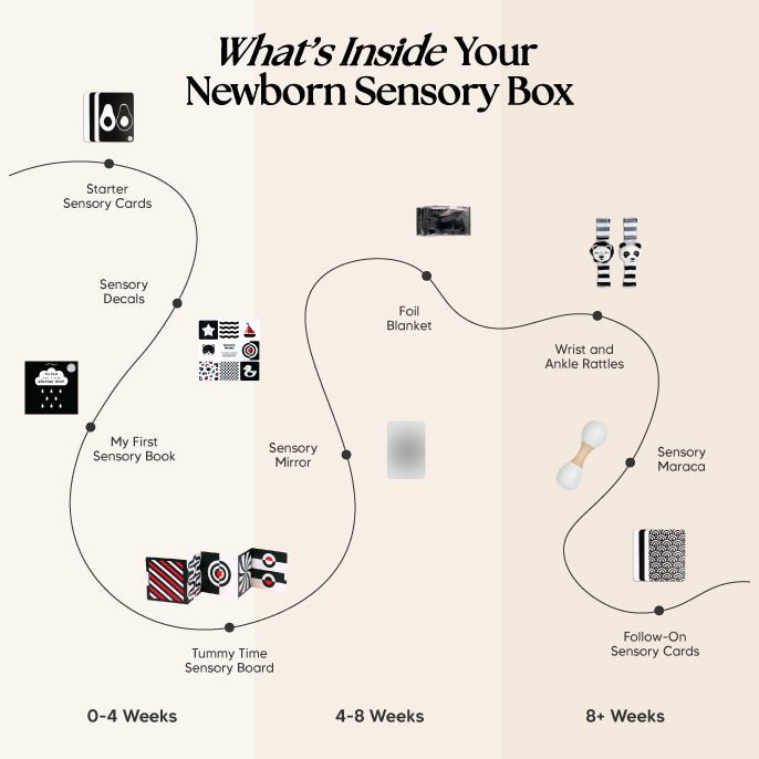 Newborn Baby Sensory Box - What Sensory Toys Are Inside
