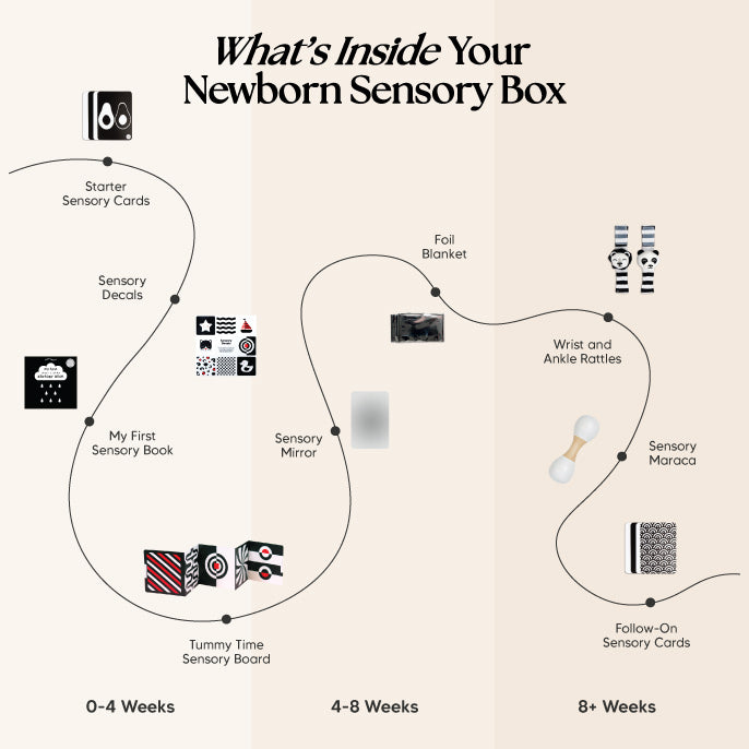 The Newborn Sensory Box (0-6+ Months)