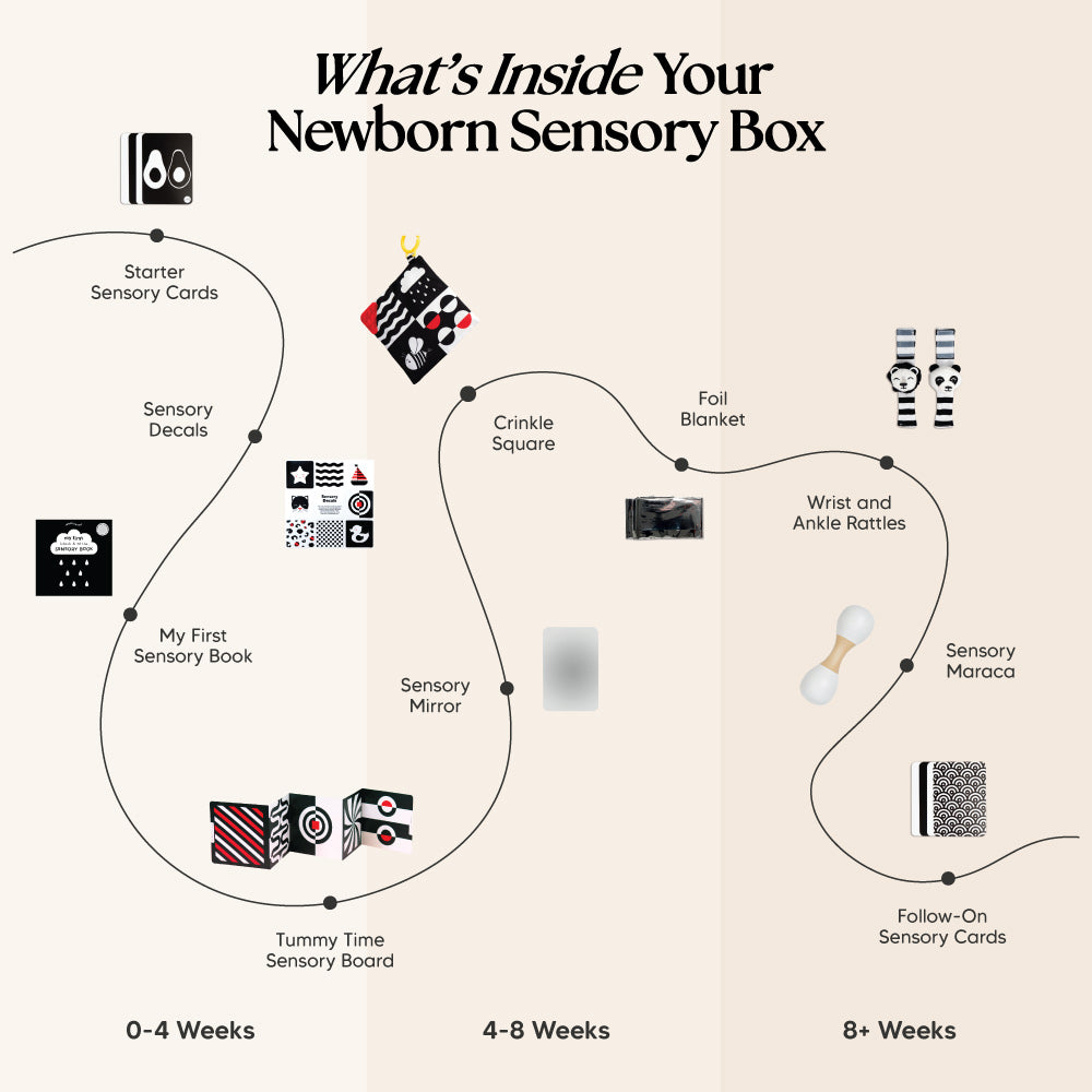 The Newborn Sensory Box (0-6+ Months)