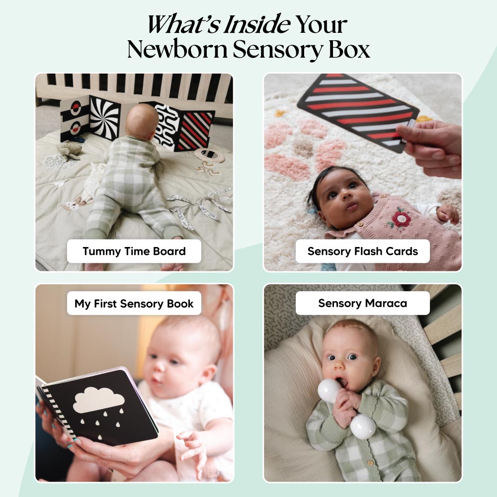 The Newborn Sensory Box (0-6+ Months)