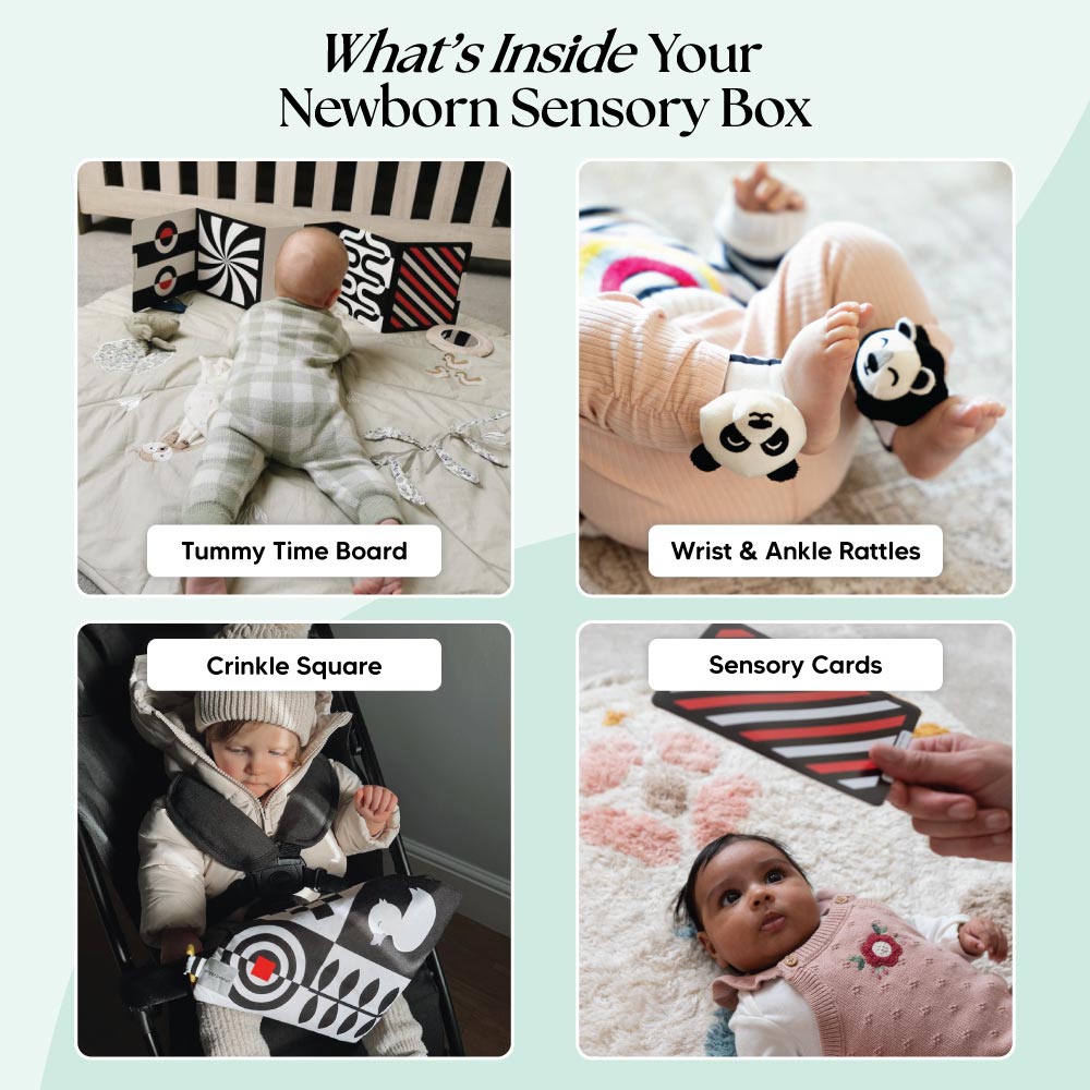 La Box Sensorielle Nouveau-Né (0-6+ Mois)