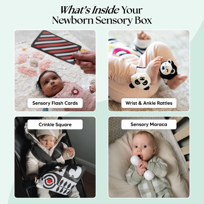 The Newborn Sensory Box (0-6+ Months)