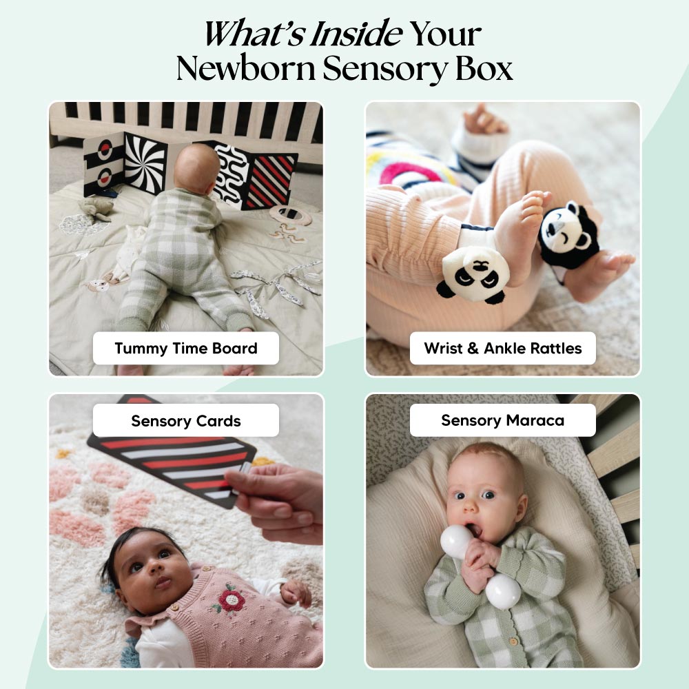 The Newborn Sensory Box (0-6+ Months)
