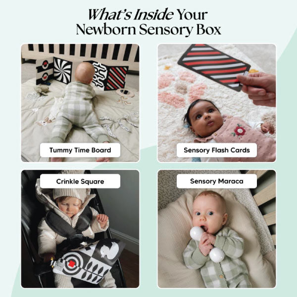 The Newborn Sensory Box (0-6+ Months)