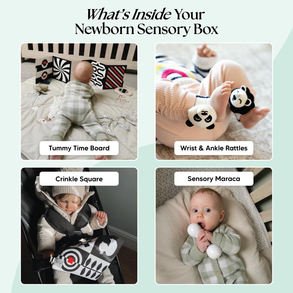 The Newborn Sensory Box (0-6+ Months)