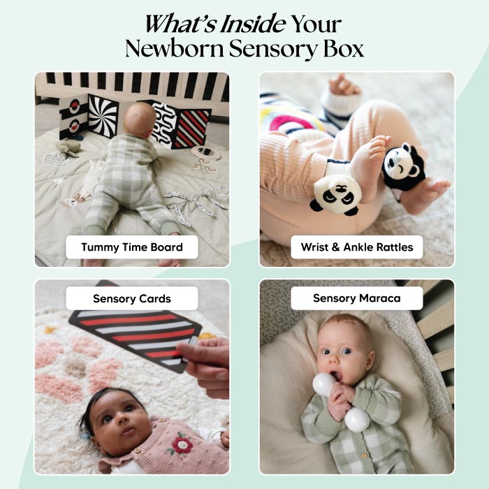 The Newborn Sensory Box (0-6+ Months) The Perfect Sensory Toys