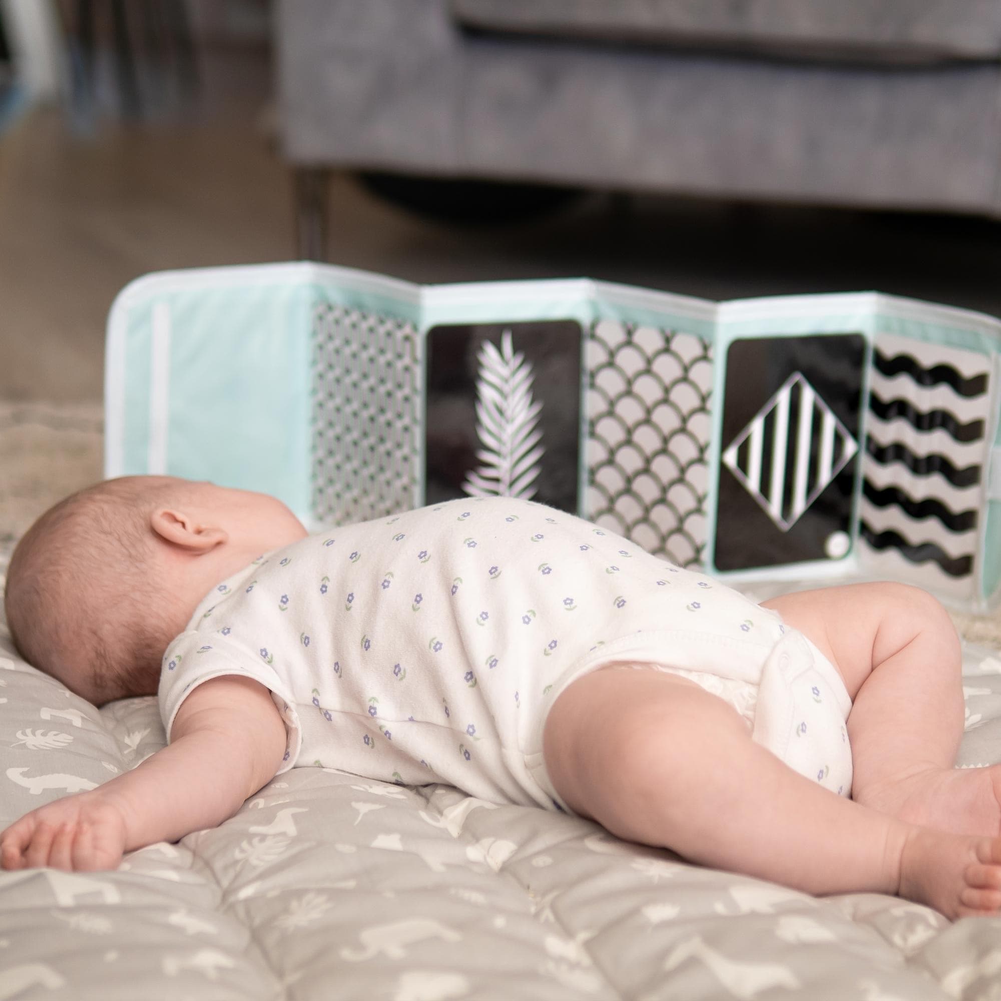 Baby Flashcard Sleeve