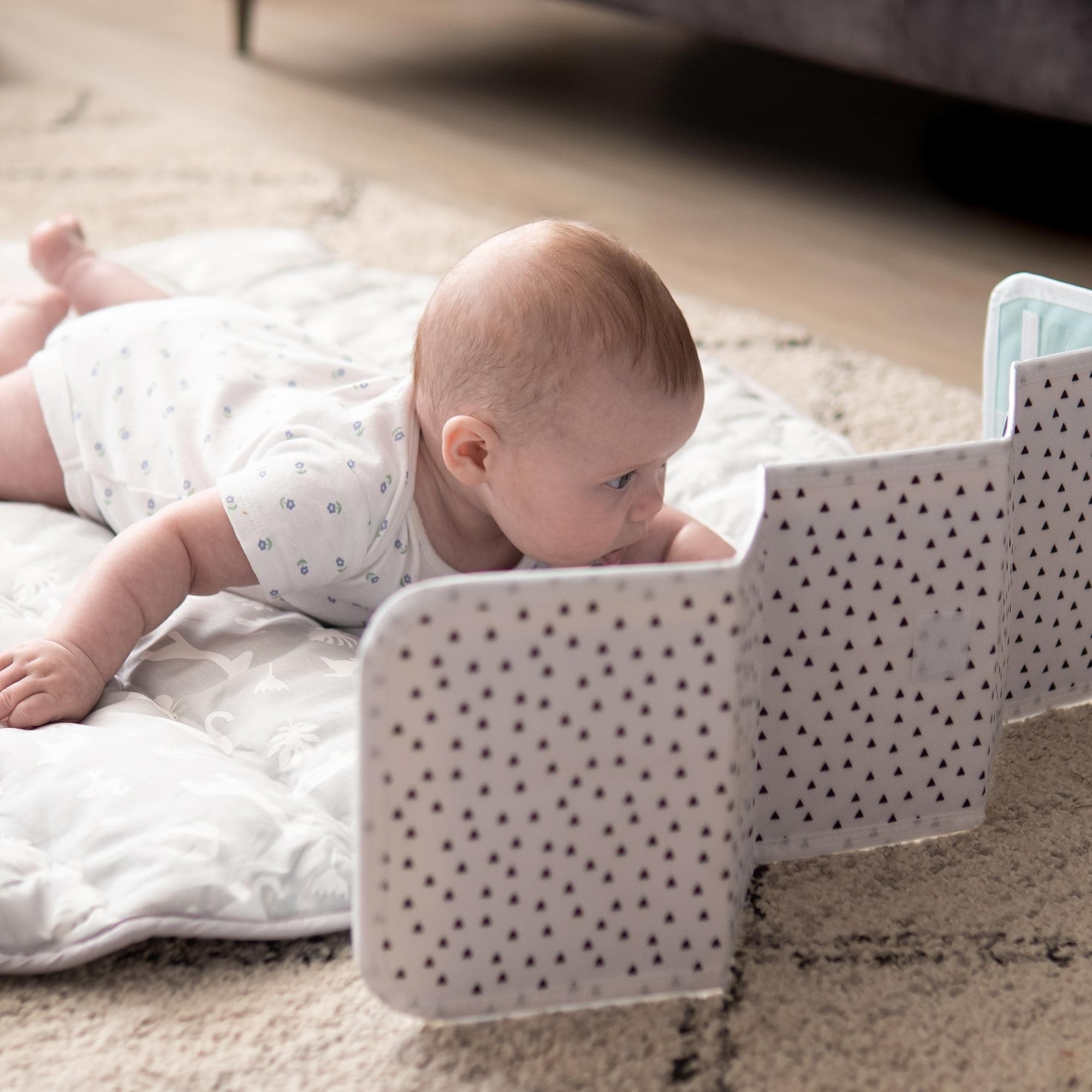 Baby Flashcard Sleeve